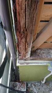通し柱の腐食を発見！外壁塗装工事　日本ペイント／パ－フェクトトップ