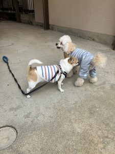 なかよしお散歩コンビ🐾 GAKU＆ぬーちゃん