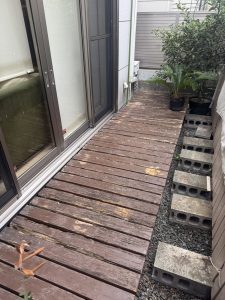 【ブログ】シロアリ被害は突然に？住宅を守るための基礎知識